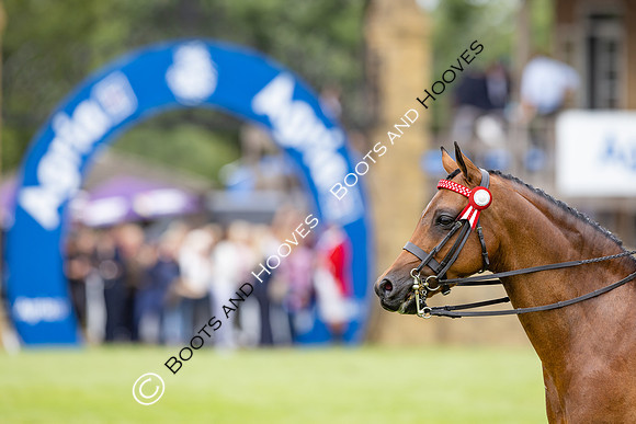 The Agria Royal International Horse Show