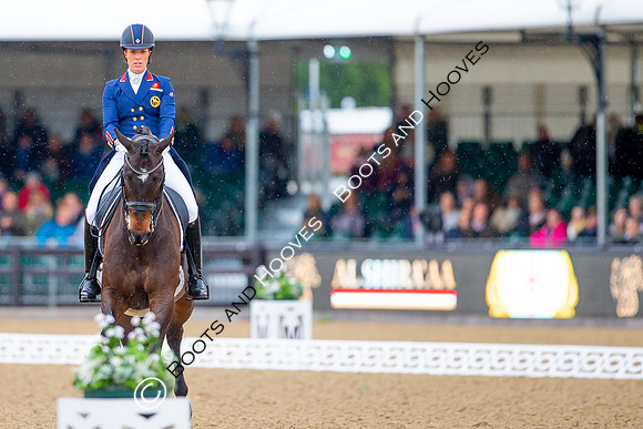Royal Windsor Horse Show