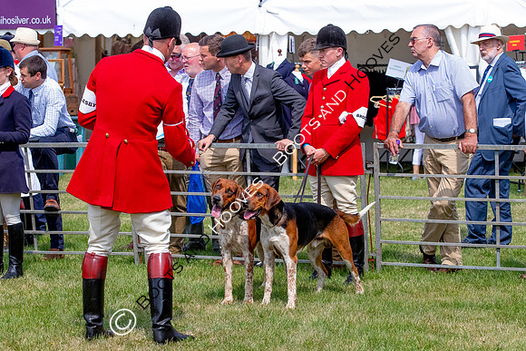 Festival of Hunting