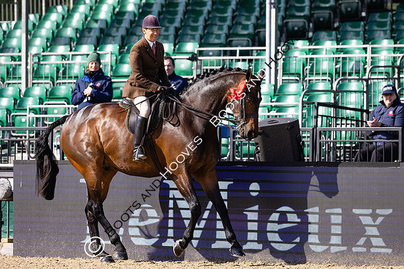 Royal Windsor Horse Show
