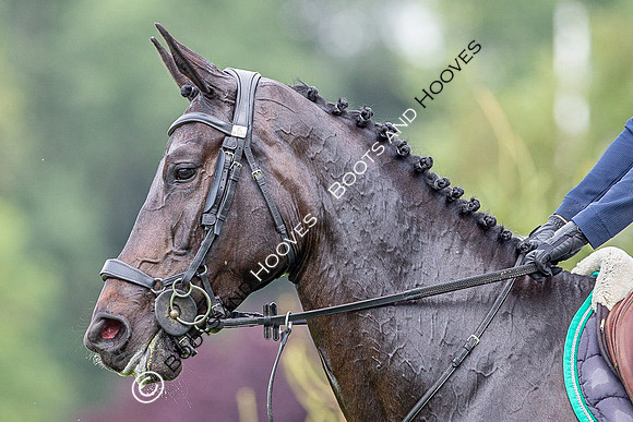 The Prenetics Royal International Horse Show