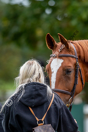 Science Supplements All England Jumping Championships