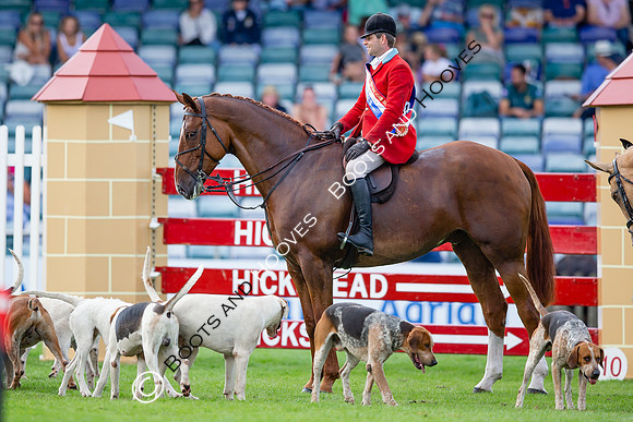 The AGRIA Royal International Horse Show