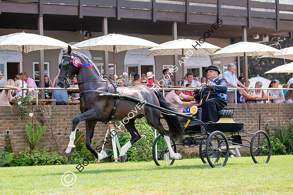 The Prenetics Royal International Horse Show