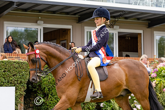 The Agria Royal International Horse Show