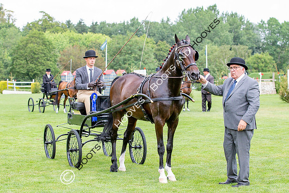 The Prenetics Royal International Horse Show