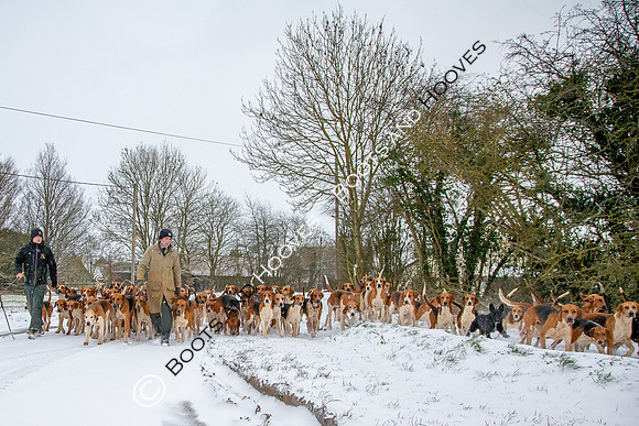 Hound Exercise