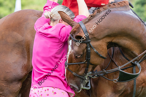 The AGRIA Royal International Horse Show