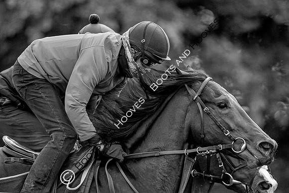 Newmarket