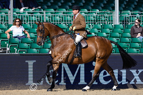 Royal Windsor Horse Show