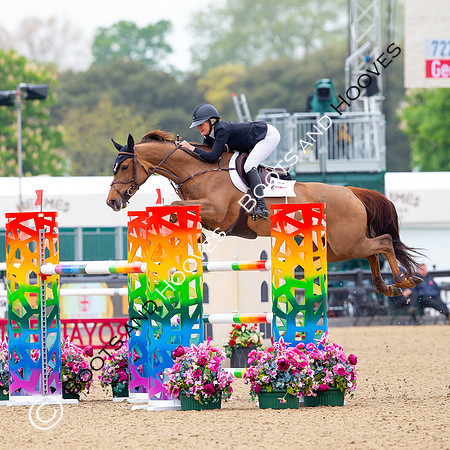 Royal Windsor Horse Show