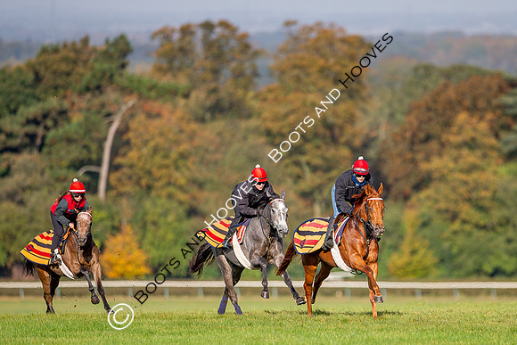Newmarket