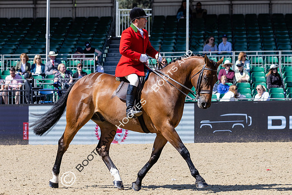 Royal Windsor Horse Show