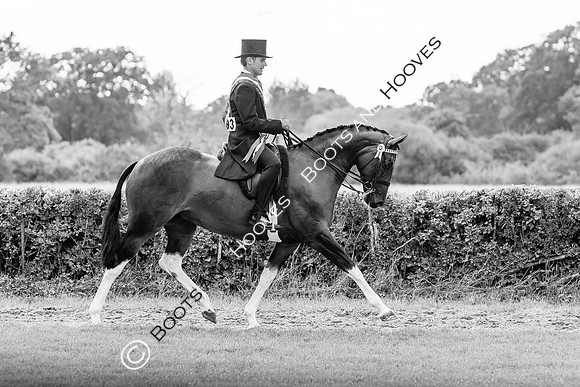 The Royal International Horse Show