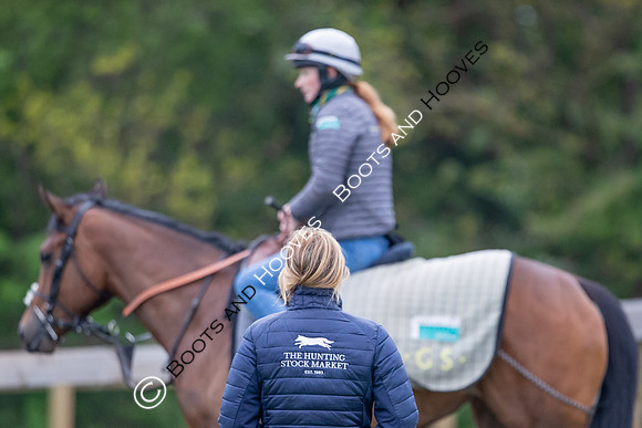 Newmarket Gallops
