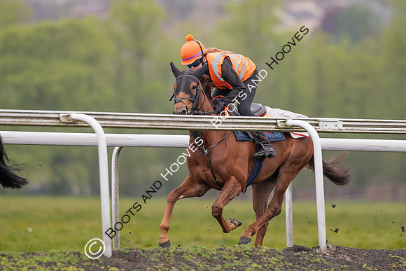 Newmarket Gallops