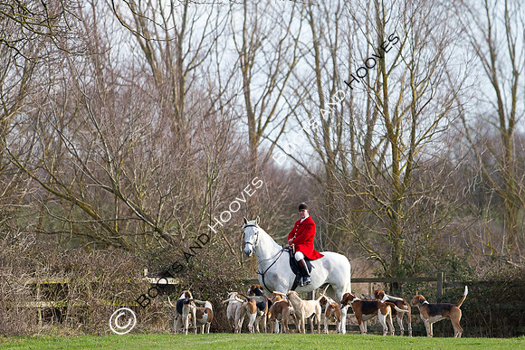 East Essex Hunt. Ladies Day. 29/01/2019 ~ MANDATORY Credit Elli Birch/Bootsandhooves - NO UNAUTHORISED USE - 07745 909676