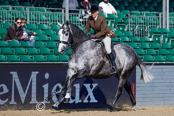 Royal Windsor Horse Show