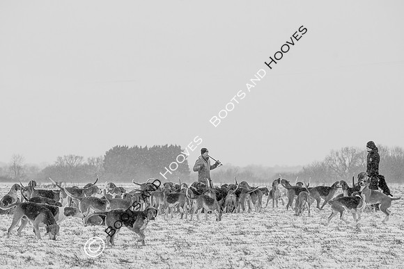 Hound Exercise