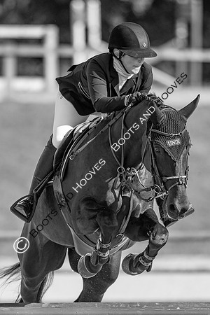 Science Supplements All England Jumping Championships