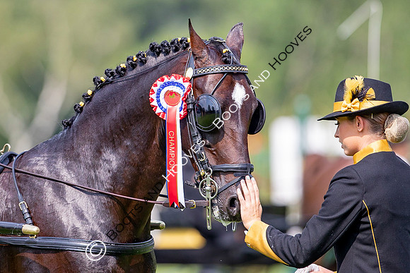 The Prenetics Royal International Horse Show