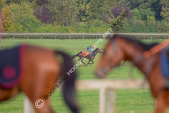 Newmarket