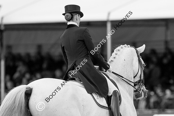 Royal Windsor Horse Show