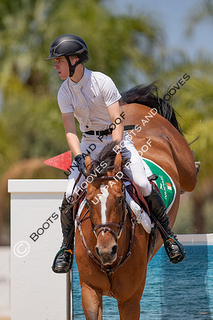 FEI Junior European Championship Young Riders, Juniors & Childre
