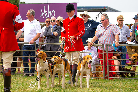 Festival of Hunting