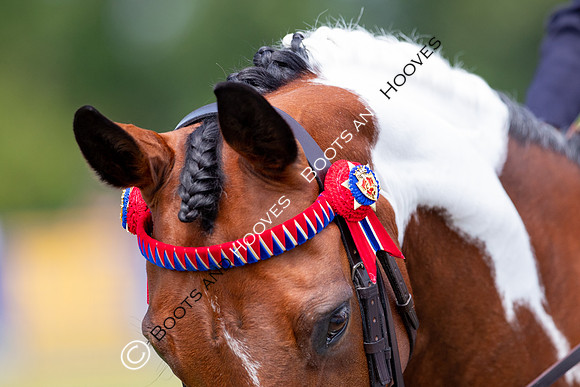 The Prenetics Royal International Horse Show