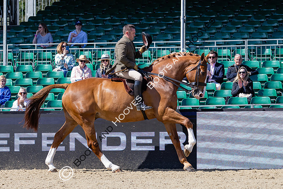 Royal Windsor Horse Show