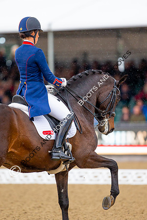 Royal Windsor Horse Show