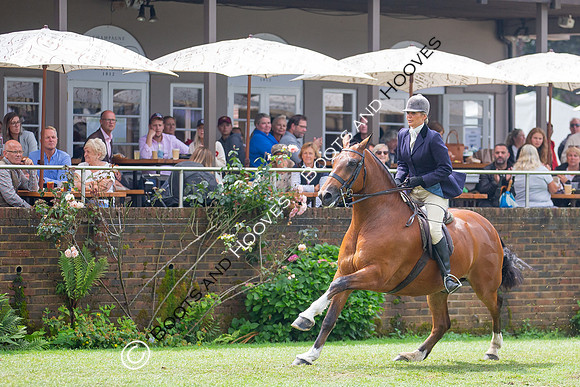 The Prenetics Royal International Horse Show