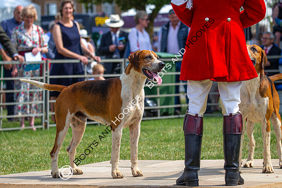 Festival of Hunting