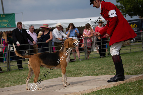Festival of Hunting