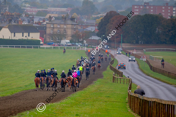 Newmarket