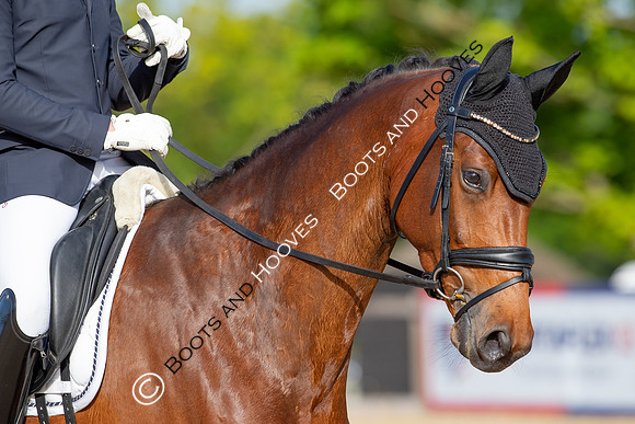 I.C.E Horseboxes All England Dressage Festival