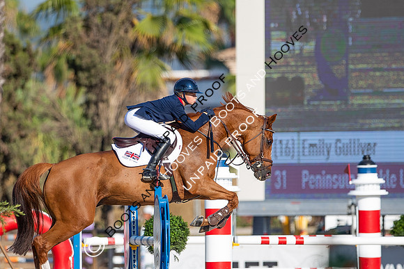 FEI Junior European Championship Young Riders, Juniors & Childre
