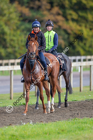 Newmarket