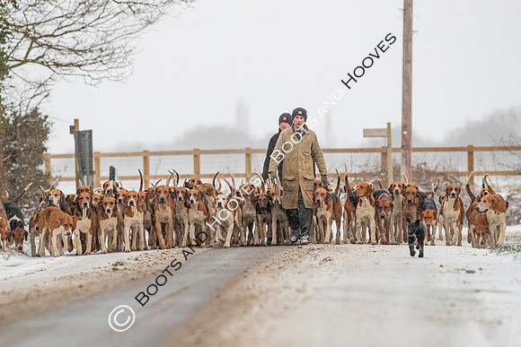 Hound Exercise