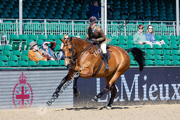 Royal Windsor Horse Show