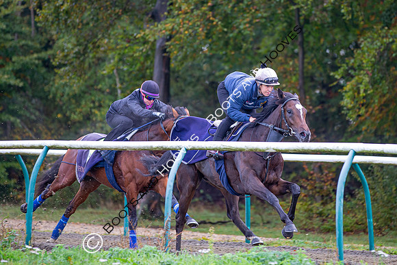 Newmarket