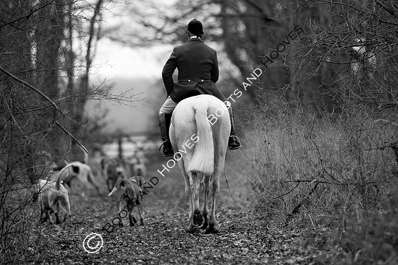 East Essex Hunt. Ladies Day. 29/01/2019 ~ MANDATORY Credit Elli Birch/Bootsandhooves - NO UNAUTHORISED USE - 07745 909676
