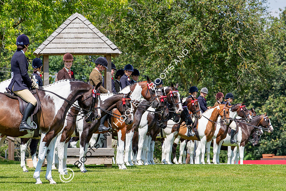 The Prenetics Royal International Horse Show