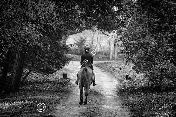 Puckeridge & Essex Hunts