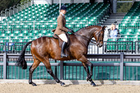 Royal Windsor Horse Show