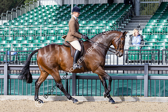 Royal Windsor Horse Show