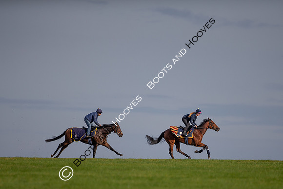 Newmarket