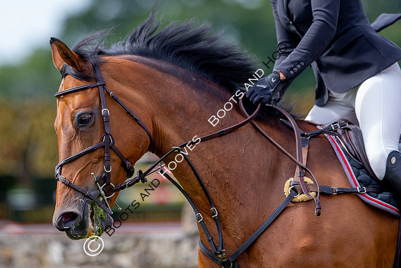 Science Supplements All England Jumping Championships