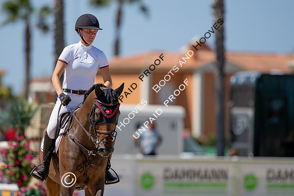 FEI Junior European Championship Young Riders, Juniors & Childre